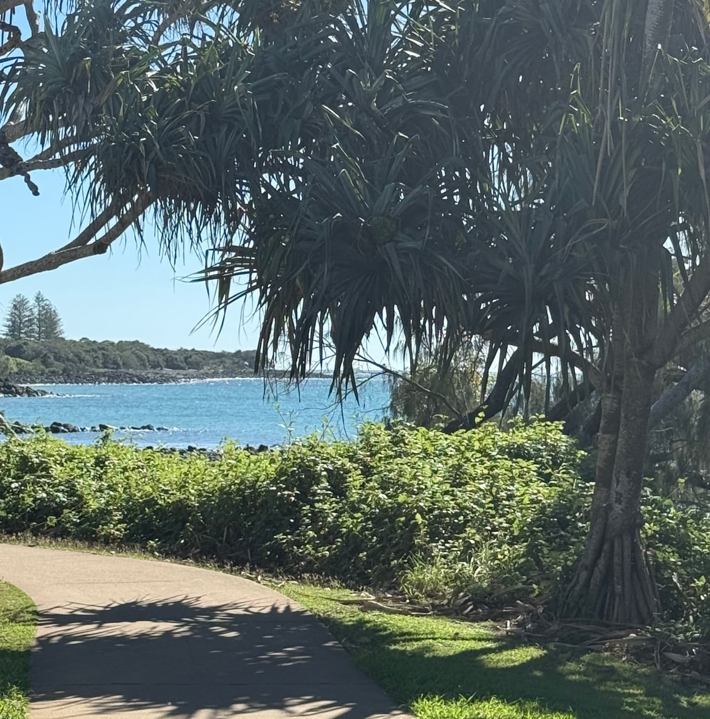 Coastal Strolls on the Esplanade